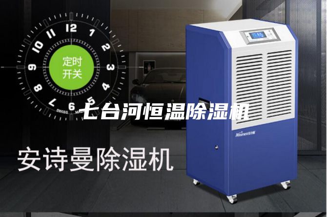 七臺河恒溫除濕機