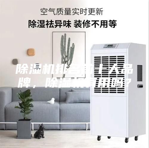 除濕機(jī)排名前十大品牌，除濕機(jī)有用嗎？