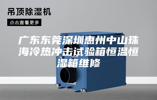 廣東東莞深圳惠州中山珠海冷熱沖擊試驗(yàn)箱恒溫恒濕箱維修