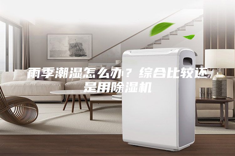 雨季潮濕怎么辦？綜合比較還是用除濕機(jī)