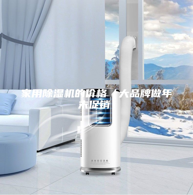 家用除濕機(jī)的價(jià)格（大品牌做年末促銷）