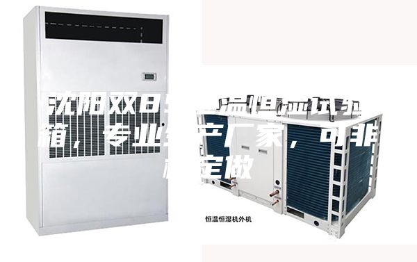 沈陽雙85恒溫恒濕試驗(yàn)箱，專業(yè)生產(chǎn)廠家，可非標(biāo)定做