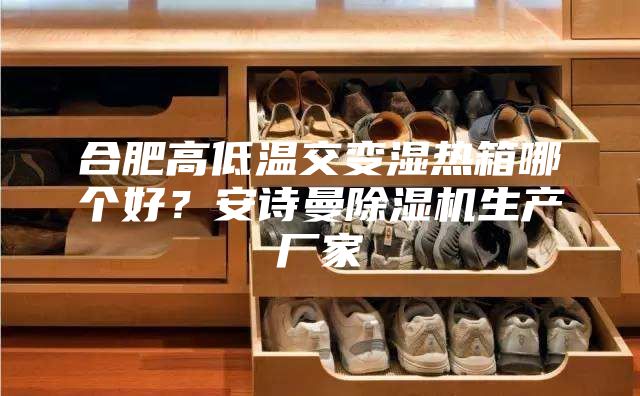 合肥高低溫交變濕熱箱哪個好？安詩曼除濕機(jī)生產(chǎn)廠家