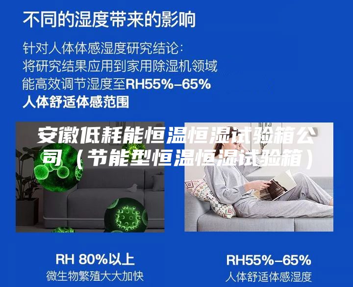 安徽低耗能恒溫恒濕試驗(yàn)箱公司(節(jié)能型恒溫恒濕試驗(yàn)箱)