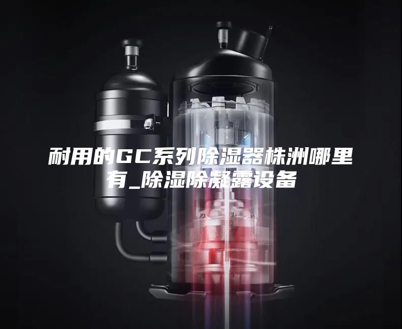 耐用的GC系列除濕器株洲哪里有_除濕除凝露設(shè)備