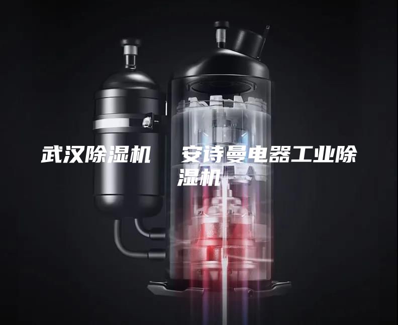武漢除濕機(jī)  安詩曼電器工業(yè)除濕機(jī)