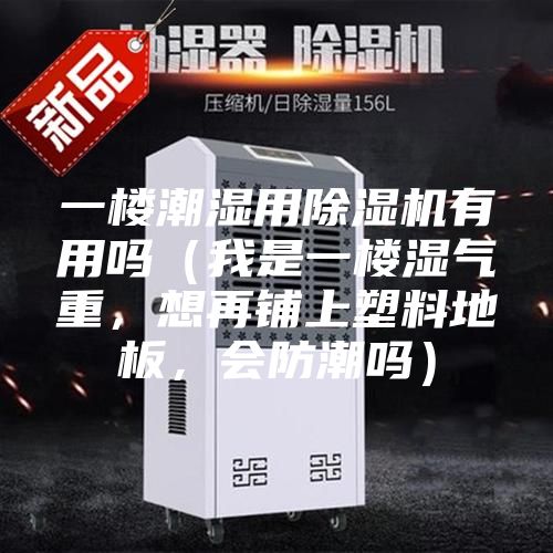 一樓潮濕用除濕機有用嗎(我是一樓濕氣重,想再鋪上塑料地板,會防潮嗎)