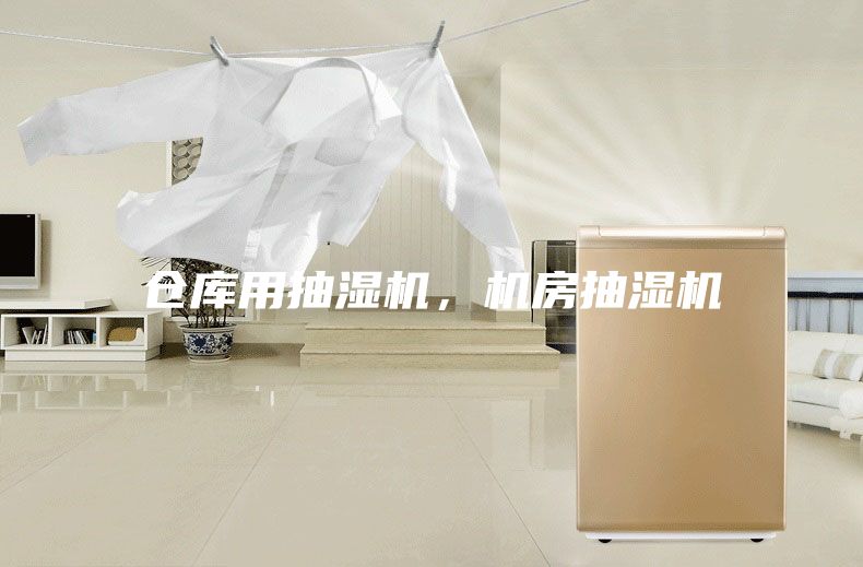 倉(cāng)庫(kù)用抽濕機(jī)，機(jī)房抽濕機(jī)