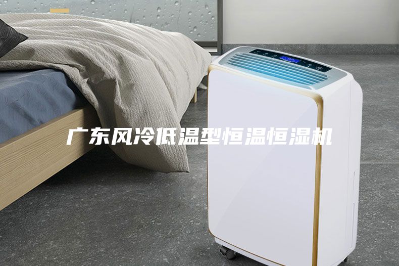 廣東風(fēng)冷低溫型恒溫恒濕機(jī)