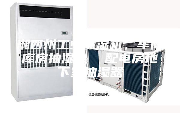 湘西州工業(yè)除濕機，車間庫房抽濕機  配電房地下室抽濕器