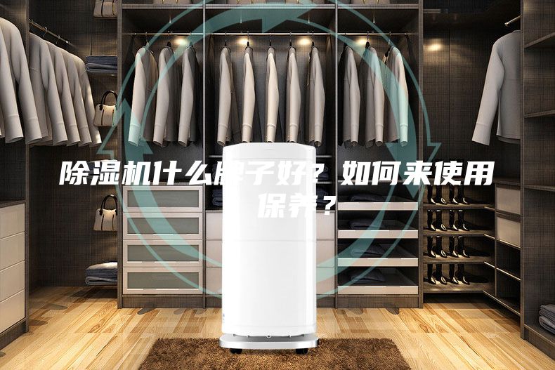 除濕機什么牌子好?如何來使用、保養?
