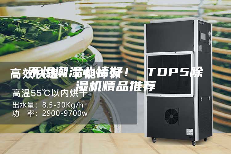 不懼潮濕心情好！ TOP5除濕機精品推薦