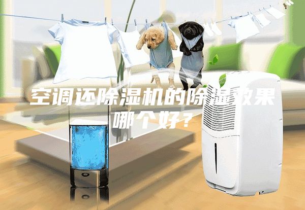 空調(diào)還除濕機(jī)的除濕效果哪個(gè)好？