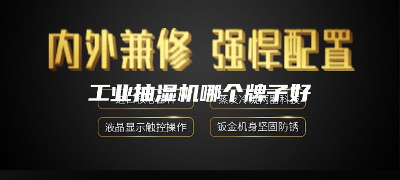 工業(yè)抽濕機(jī)哪個牌子好