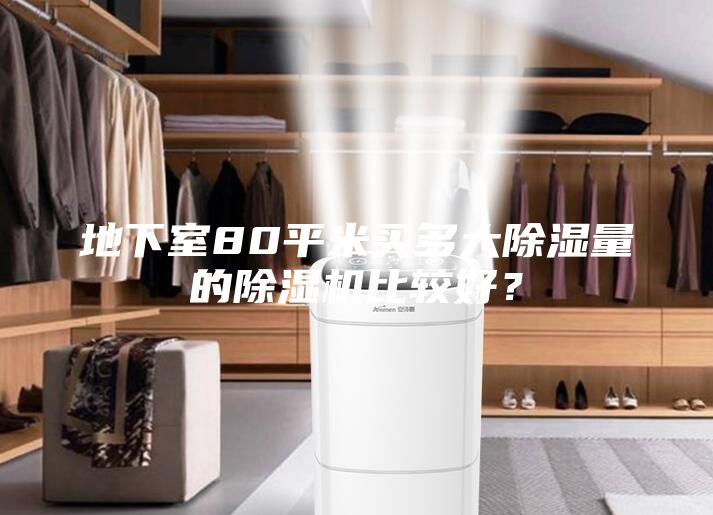 地下室80平米買多大除濕量的除濕機比較好？