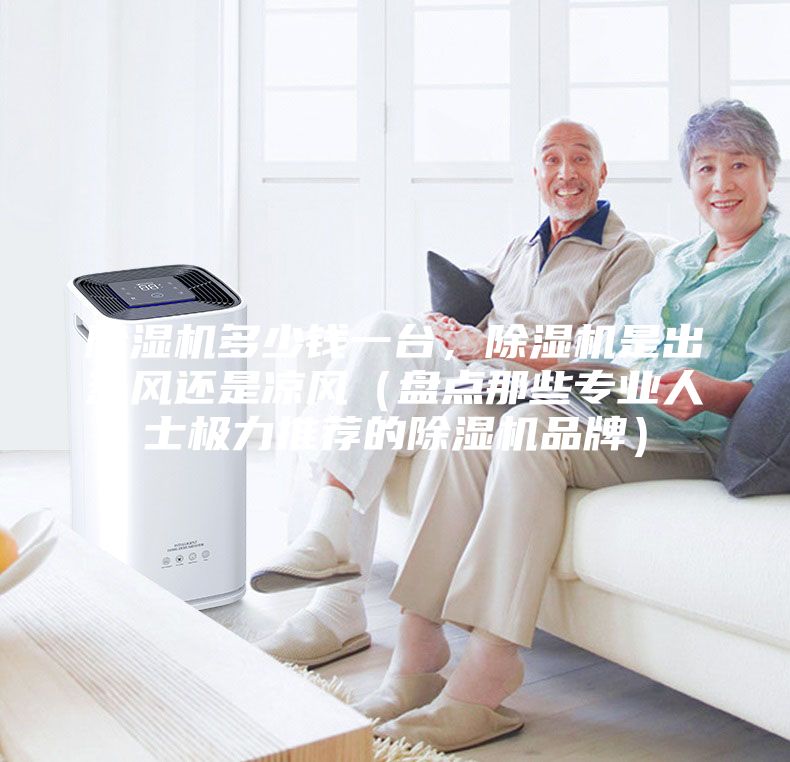 除濕機(jī)多少錢一臺，除濕機(jī)是出熱風(fēng)還是涼風(fēng)（盤點那些專業(yè)人士極力推薦的除濕機(jī)品牌）