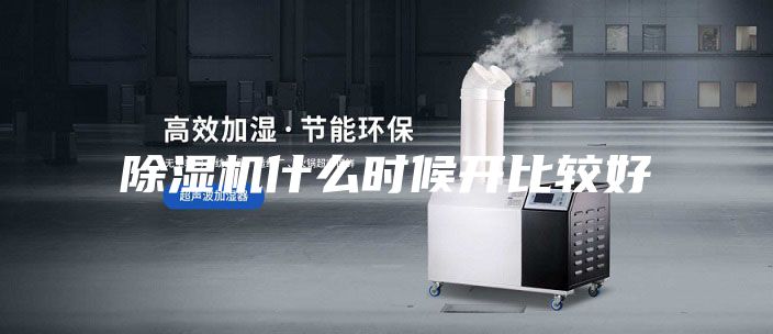 除濕機什么時候開比較好