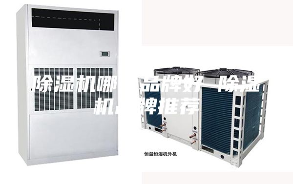 除濕機哪個品牌好 除濕機品牌推薦
