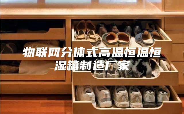 物聯(lián)網(wǎng)分體式高溫恒溫恒濕箱制造廠家