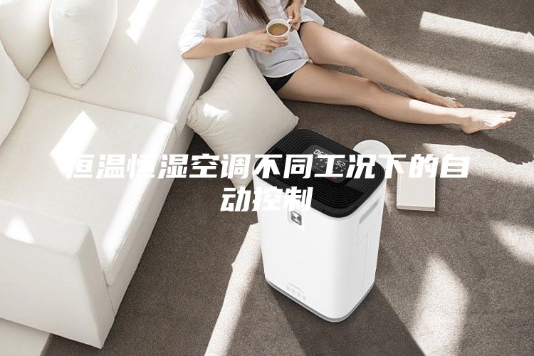 恒溫恒濕空調(diào)不同工況下的自動(dòng)控制