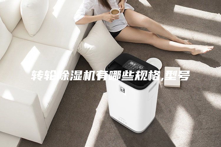 轉(zhuǎn)輪除濕機(jī)有哪些規(guī)格,型號(hào)