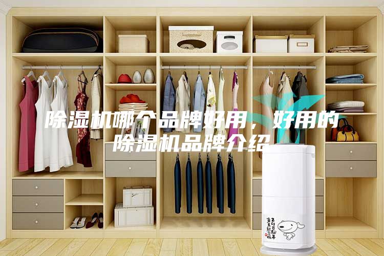 除濕機(jī)哪個(gè)品牌好用，好用的除濕機(jī)品牌介紹