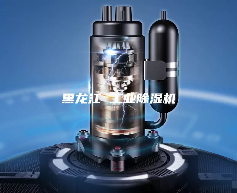 黑龍江 工業(yè)除濕機(jī)