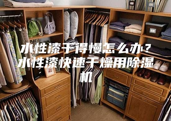 水性漆干得慢怎么辦?水性漆快速干燥用除濕機