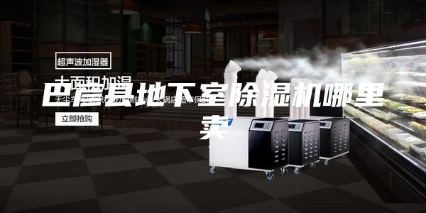 巴彥縣地下室除濕機哪里賣