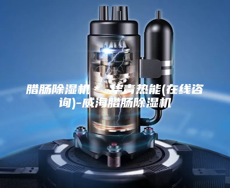 臘腸除濕機*-華青熱能(在線咨詢)-威海臘腸除濕機