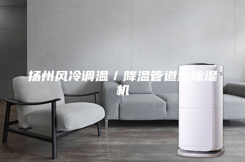 揚州風冷調溫／降溫管道型除濕機