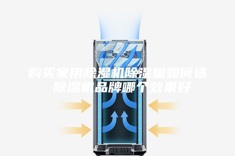 購買家用除濕機(jī)除濕量如何選 除濕機(jī)品牌哪個(gè)效果好