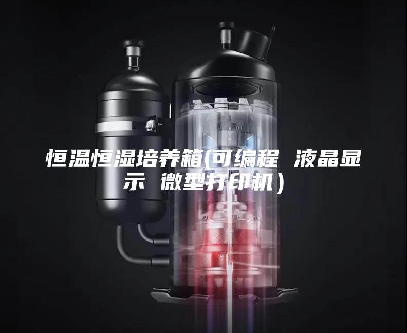 恒溫恒濕培養(yǎng)箱(可編程 液晶顯示 微型打印機)