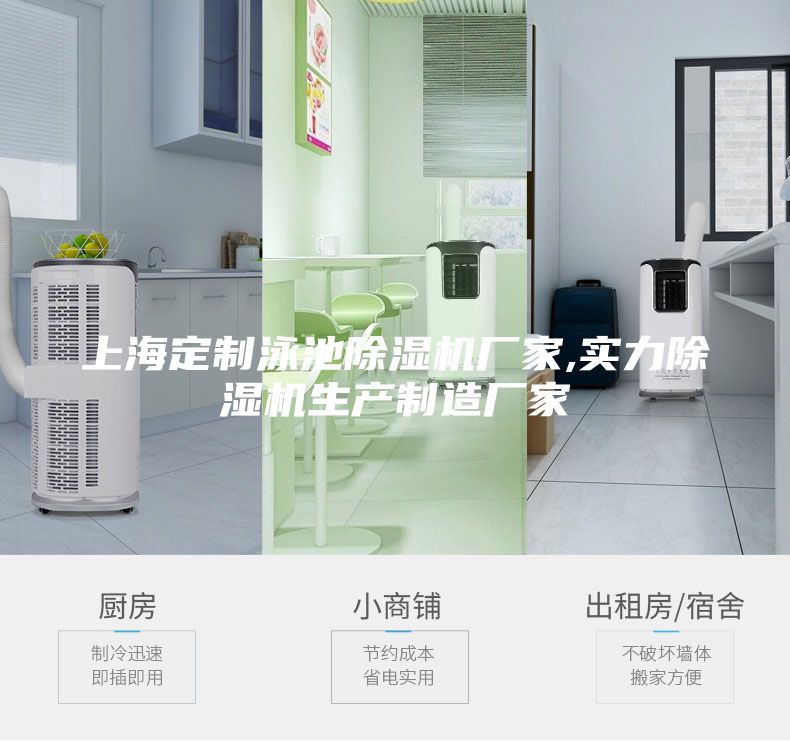 上海定制泳池除濕機廠家,實力除濕機生產制造廠家
