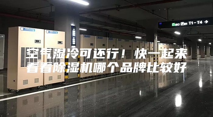空氣濕冷可還行！快一起來看看除濕機哪個品牌比較好