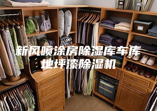 新風(fēng)噴涂房除濕庫車庫地坪漆除濕機(jī)