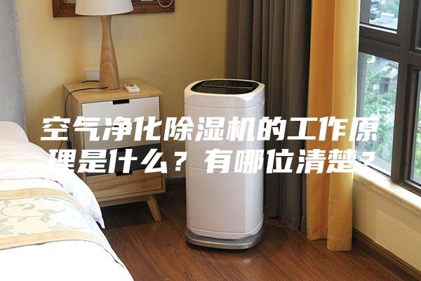 空氣凈化除濕機的工作原理是什么?有哪位清楚?