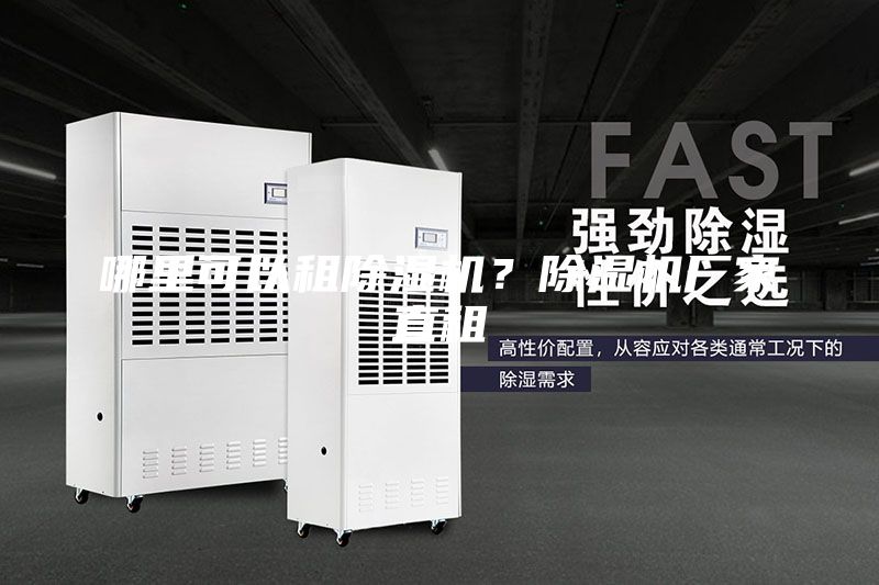 哪里可以租除濕機?除濕機廠家直租