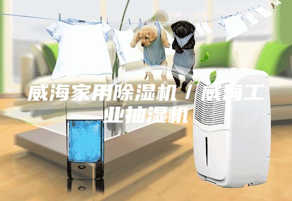 威海家用除濕機/威海工業抽濕機