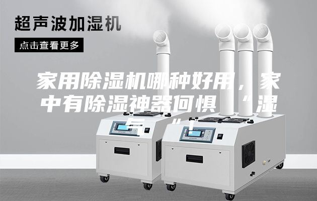 家用除濕機(jī)哪種好用，家中有除濕神器何懼 “濕氣 “！