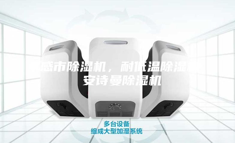 孝感市除濕機(jī)，耐低溫除濕機(jī)  安詩(shī)曼除濕機(jī)