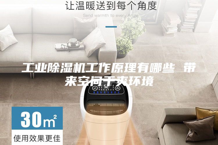 工業除濕機工作原理有哪些 帶來空間干爽環境