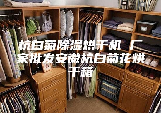 杭白菊除濕烘干機 廠家批發安徽杭白菊花烘干箱