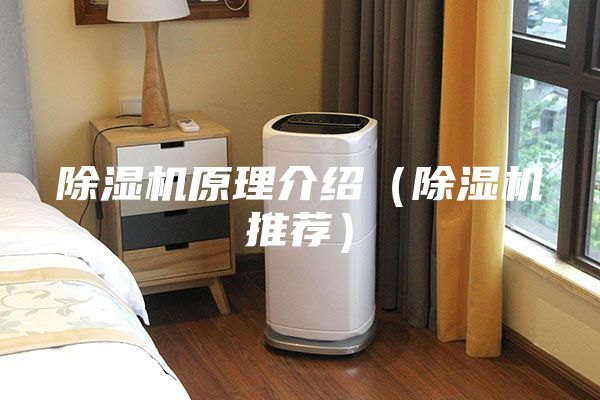 除濕機原理介紹(除濕機推薦)