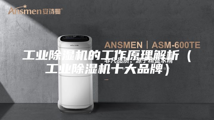 工業除濕機的工作原理解析(工業除濕機十大品牌)