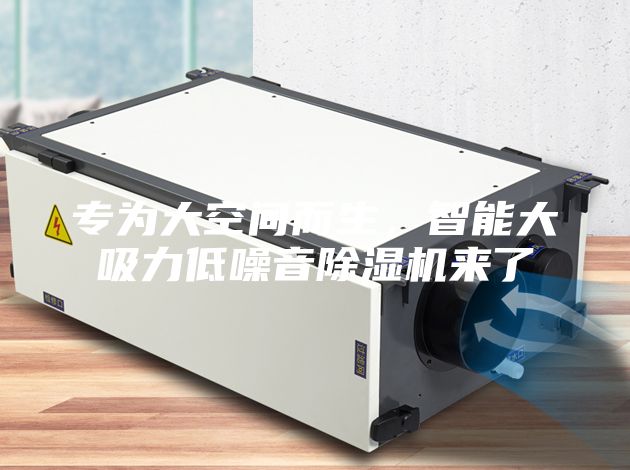 專為大空間而生，智能大吸力低噪音除濕機(jī)來(lái)了
