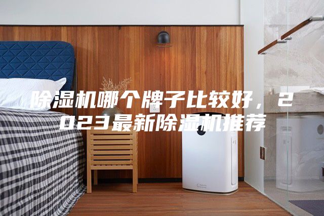 除濕機(jī)哪個(gè)牌子比較好，2023最新除濕機(jī)推薦