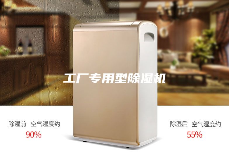 工廠專用型除濕機(jī)