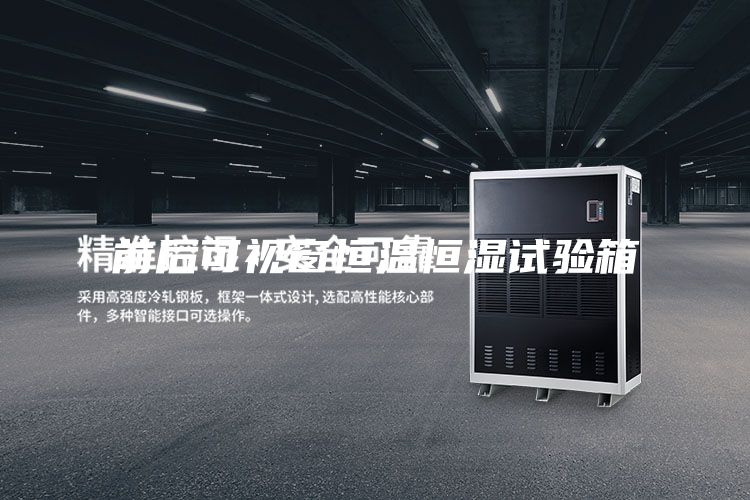 前后可視窗恒溫恒濕試驗箱