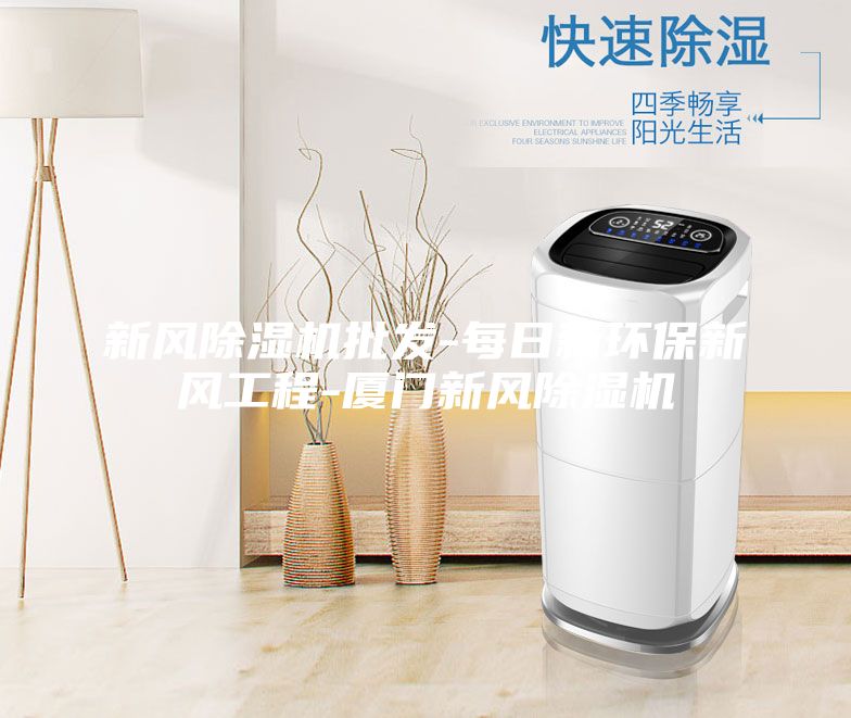 新風除濕機批發-每日新環保新風工程-廈門新風除濕機